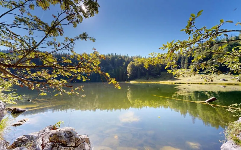 taubensee08122024_132557.jpg